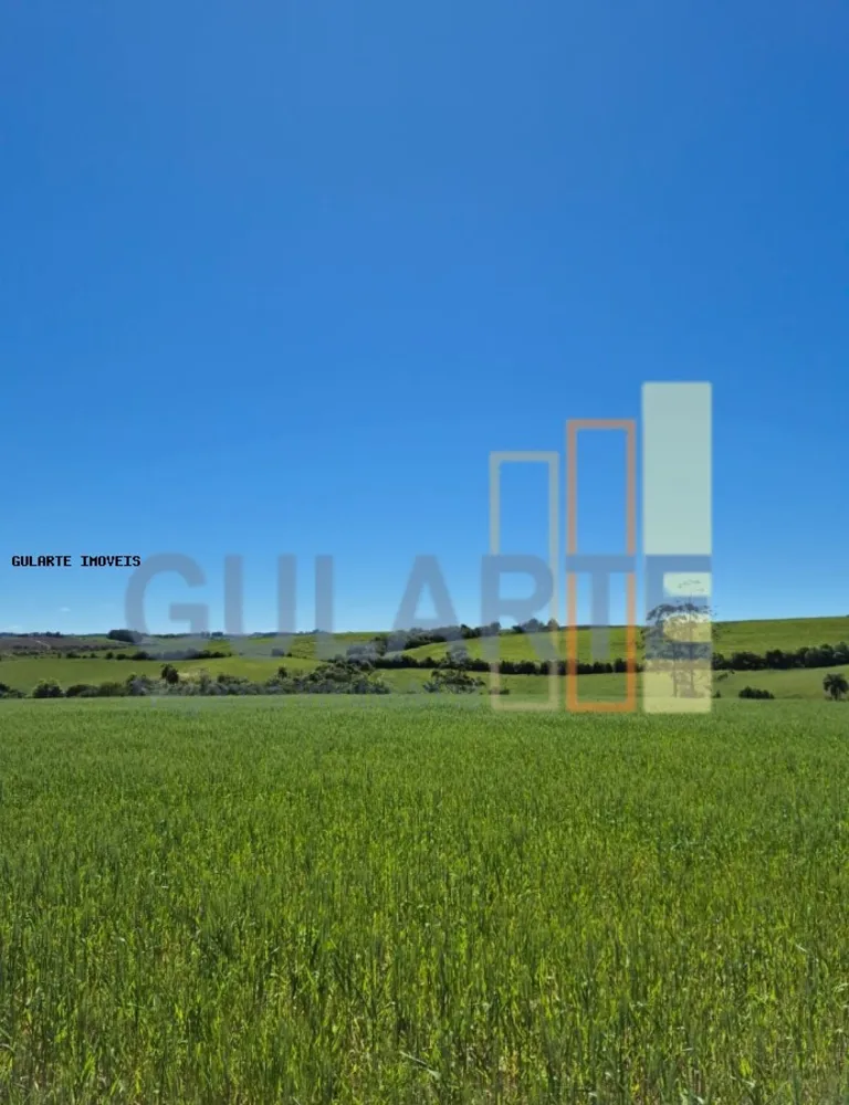 Terreno, 106 hectares - Foto 2
