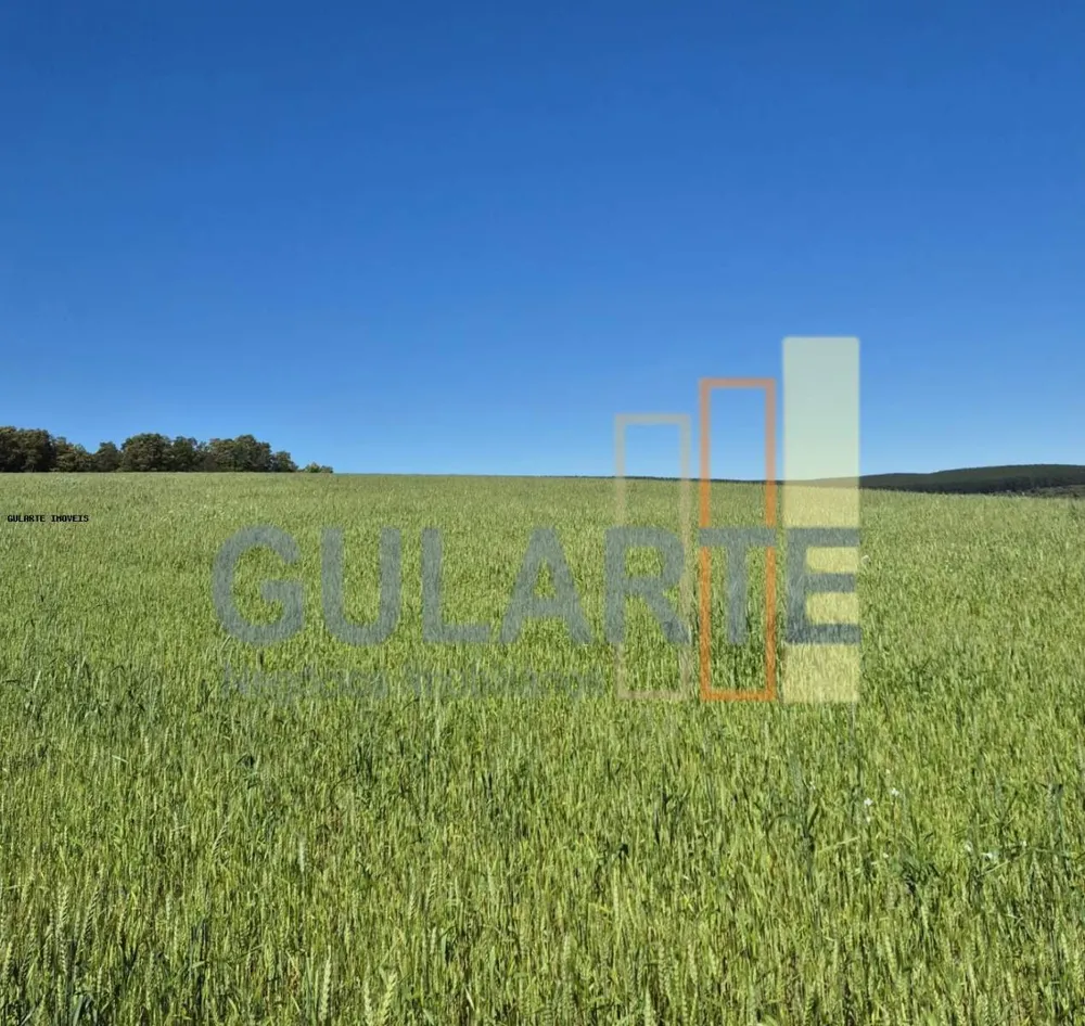 Terreno, 106 hectares - Foto 4