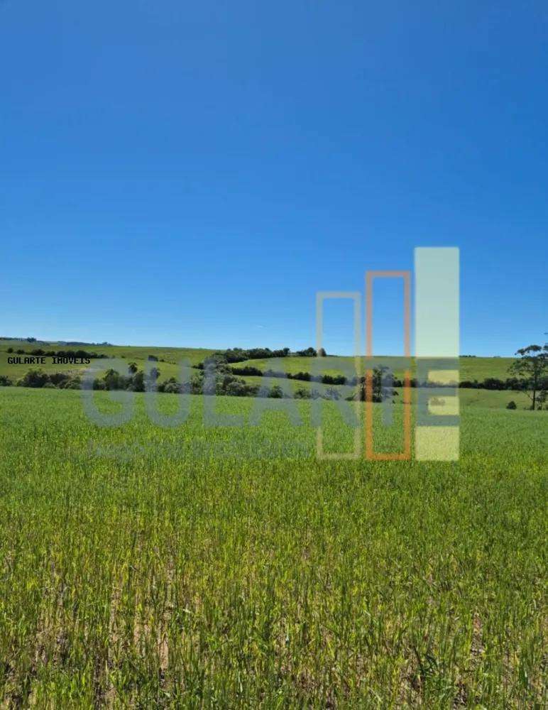Terreno, 106 hectares - Foto 2