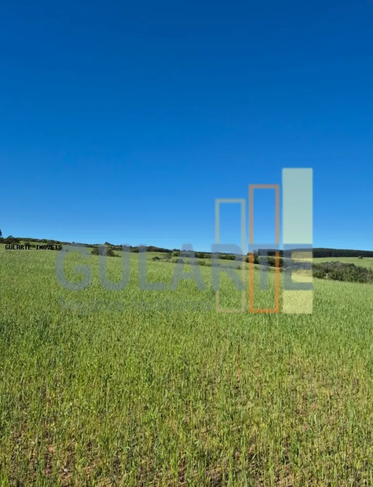 Terreno, 106 hectares - Foto 1