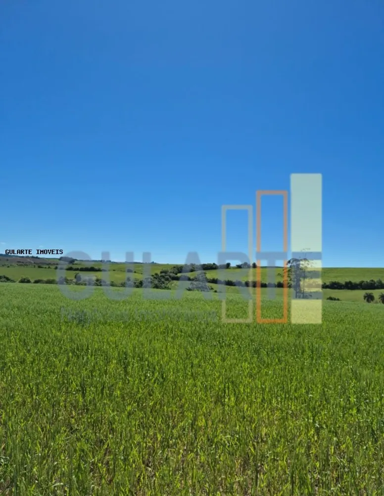 Terreno, 106 hectares - Foto 6