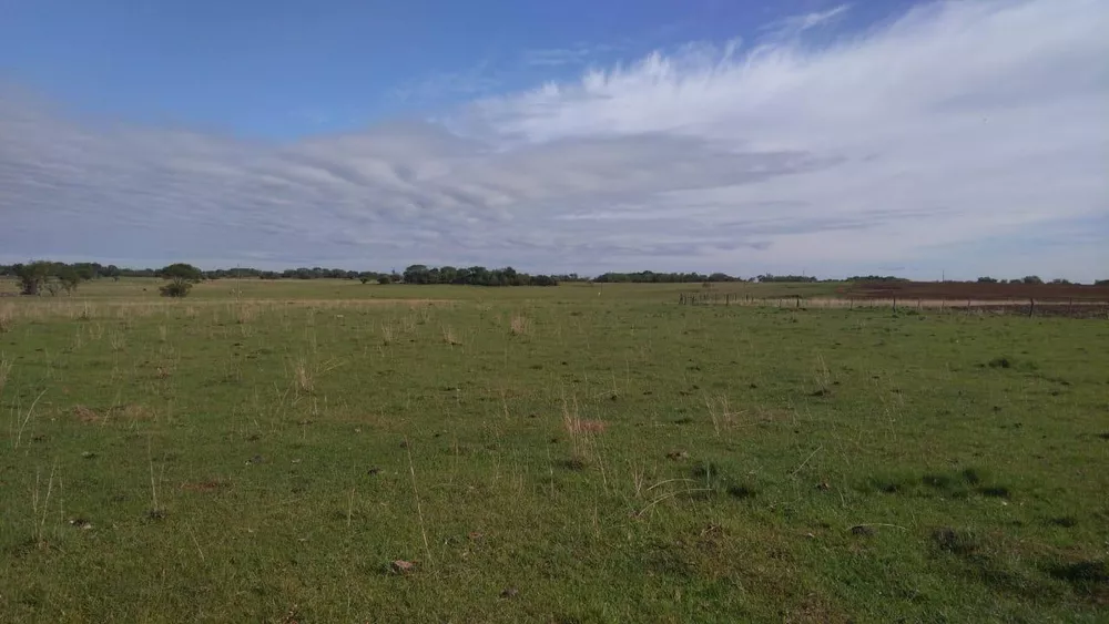 Fazenda, 2214 hectares - Foto 11