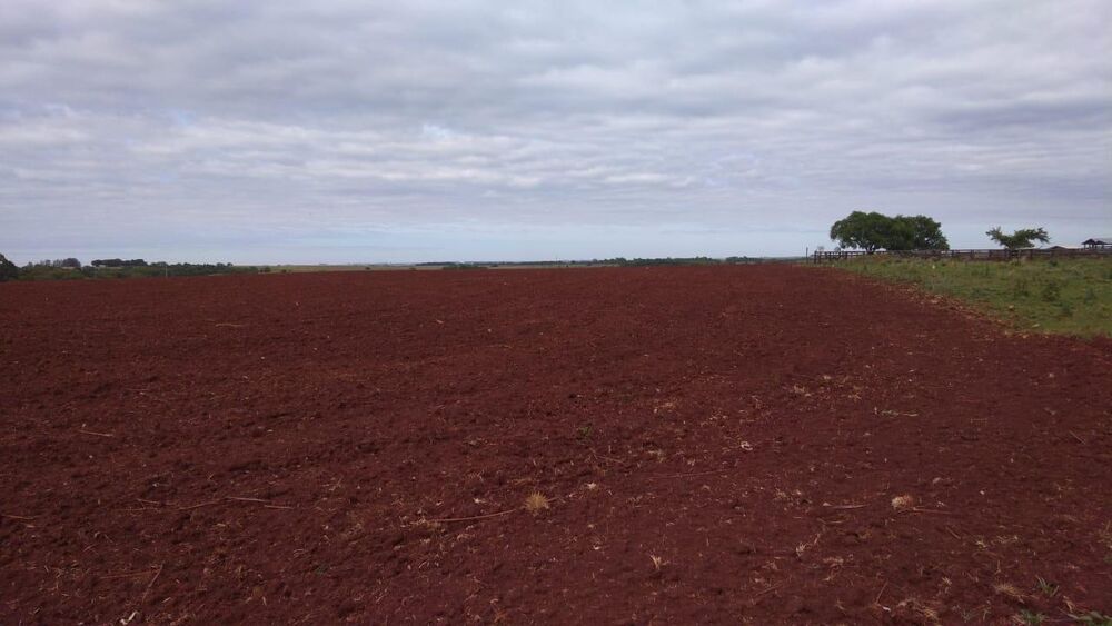 Fazenda à venda, 22140000m² - Foto 2