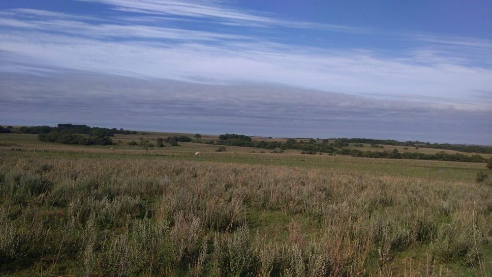 Fazenda à venda, 22140000m² - Foto 8