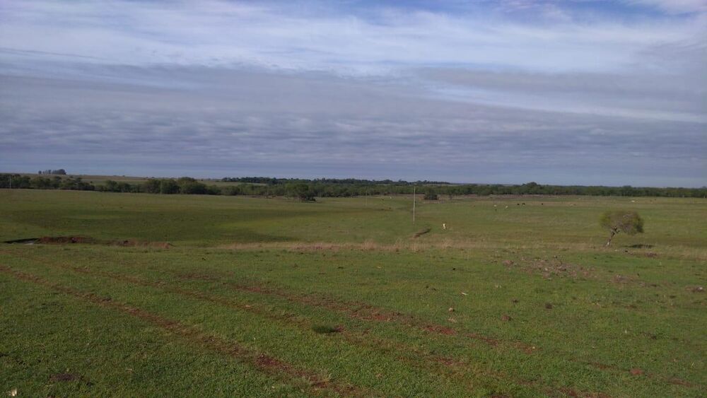 Fazenda à venda, 22140000m² - Foto 4