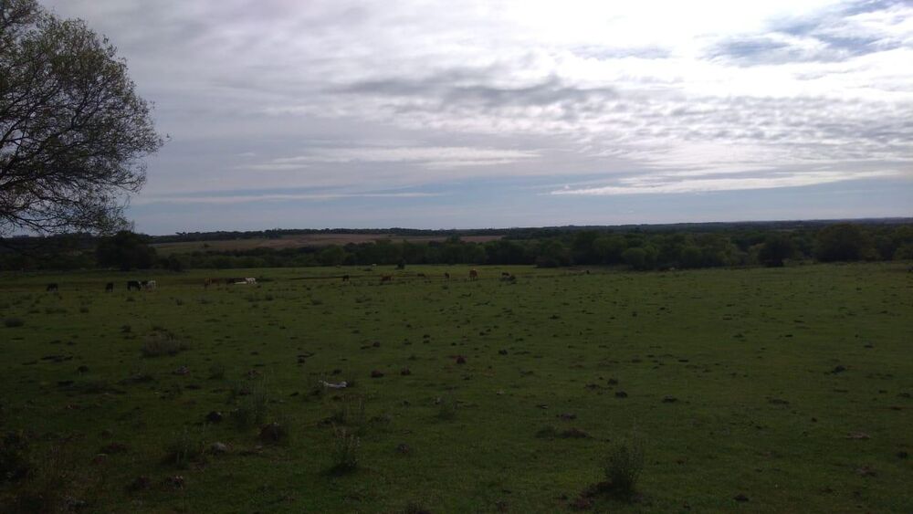 Fazenda à venda, 22140000m² - Foto 1