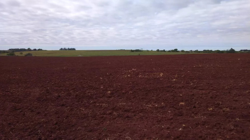 Fazenda, 2214 hectares - Foto 7