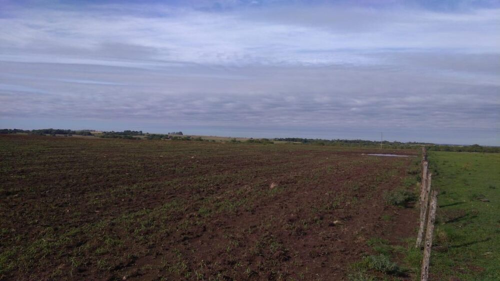 Fazenda à venda, 22140000m² - Foto 5
