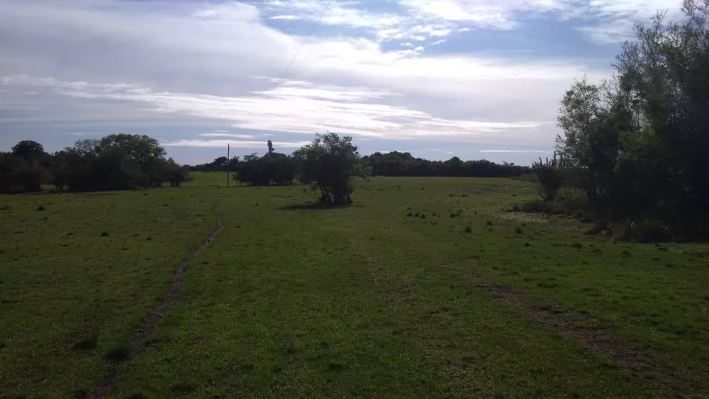 Fazenda, 2214 hectares - Foto 4