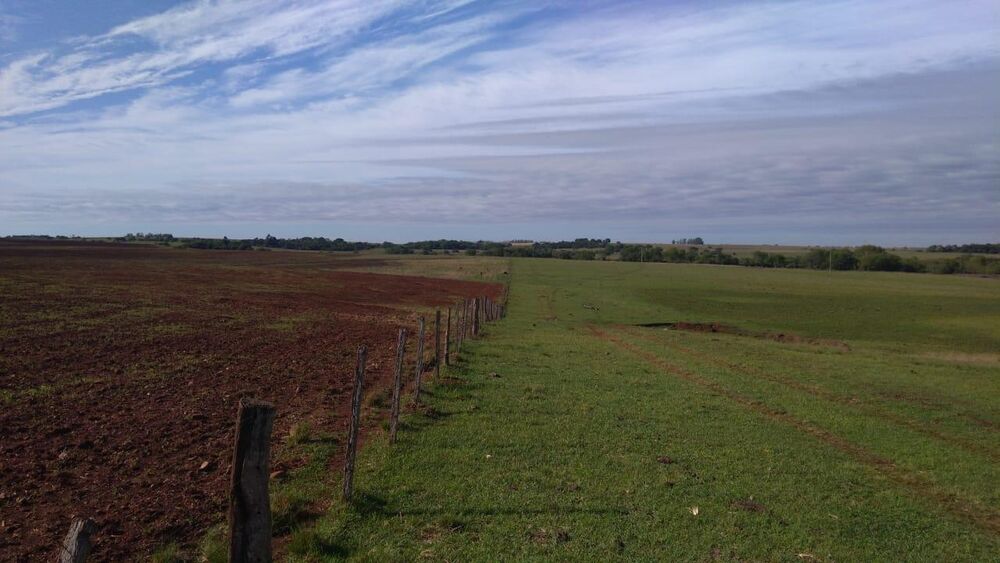 Fazenda à venda, 22140000m² - Foto 3