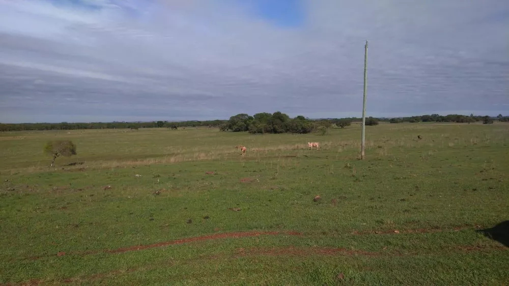 Fazenda, 2214 hectares - Foto 3