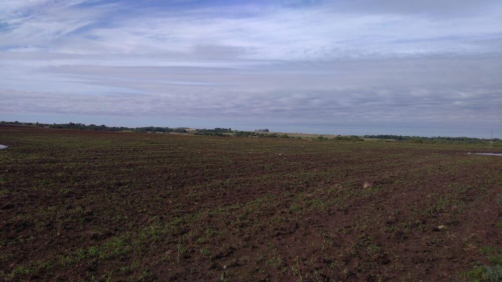 Fazenda à venda, 22140000m² - Foto 7