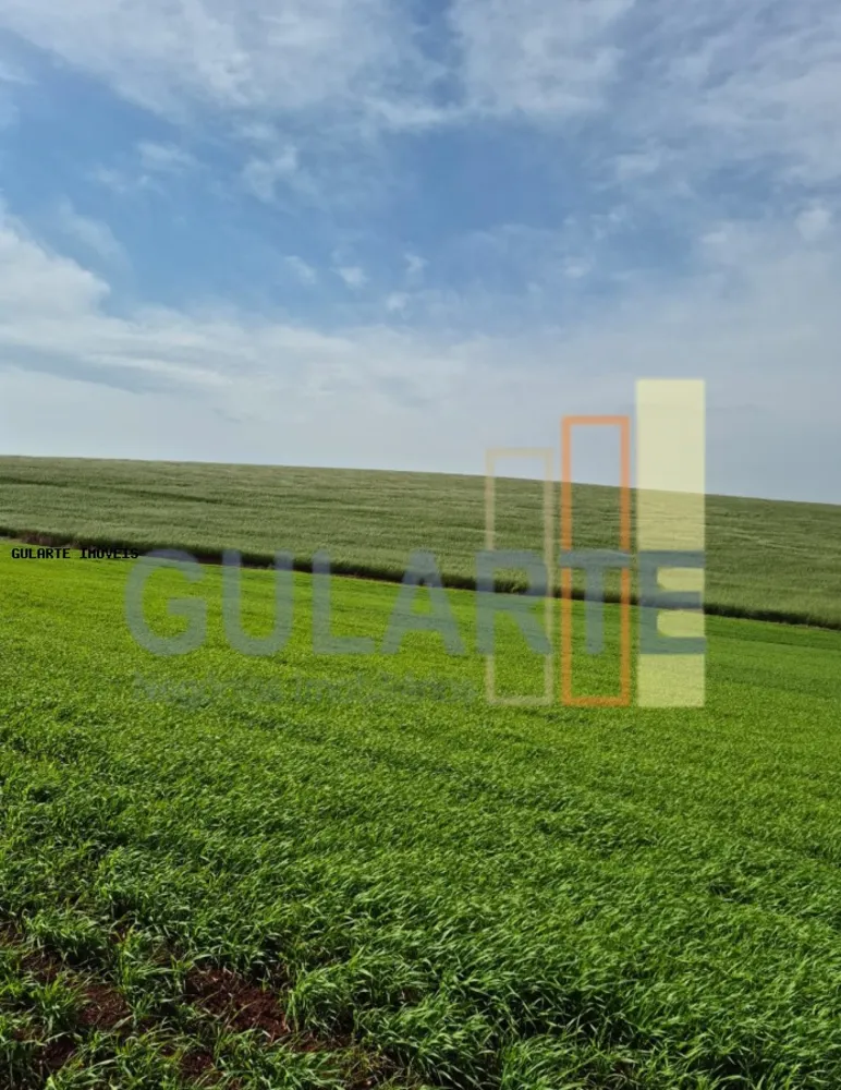 Terreno, 63 hectares - Foto 1