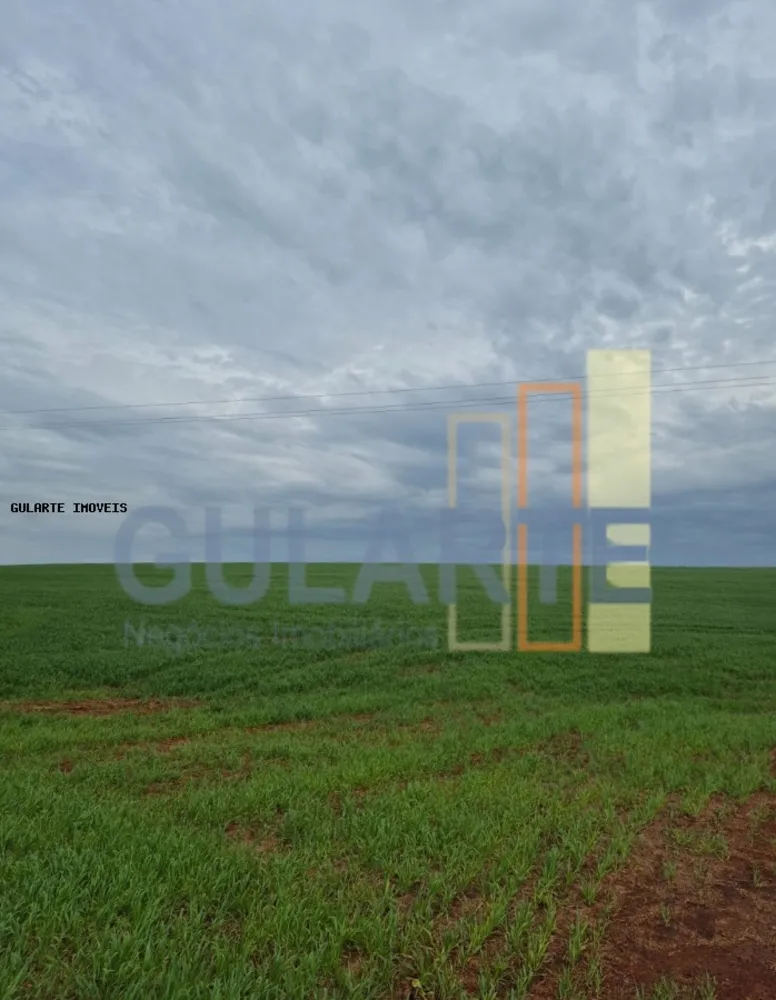 Terreno, 63 hectares - Foto 6