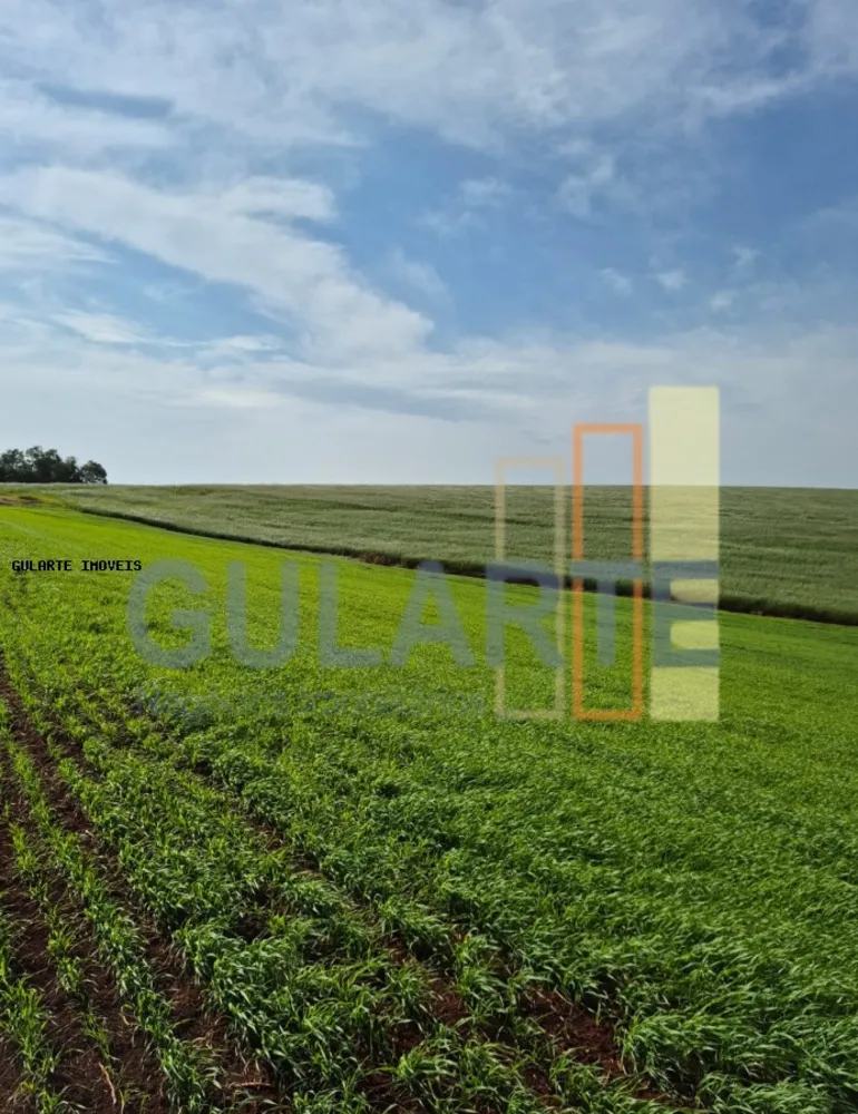 Terreno, 63 hectares - Foto 1