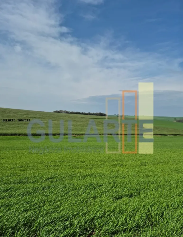 Terreno, 63 hectares - Foto 3