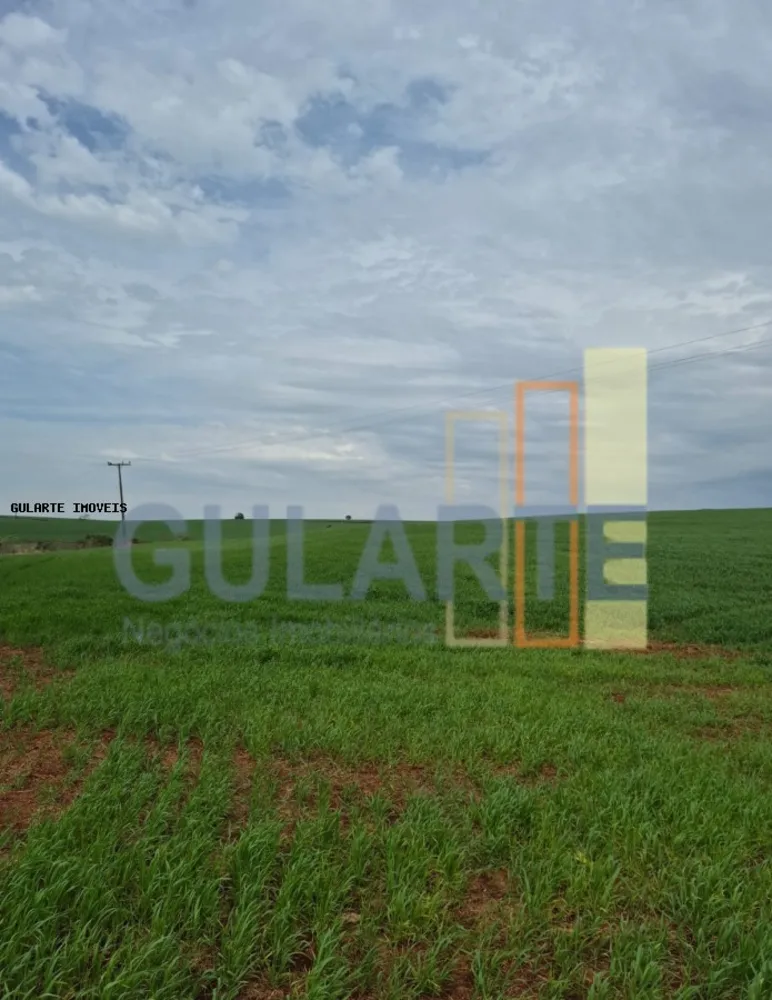 Terreno, 63 hectares - Foto 4