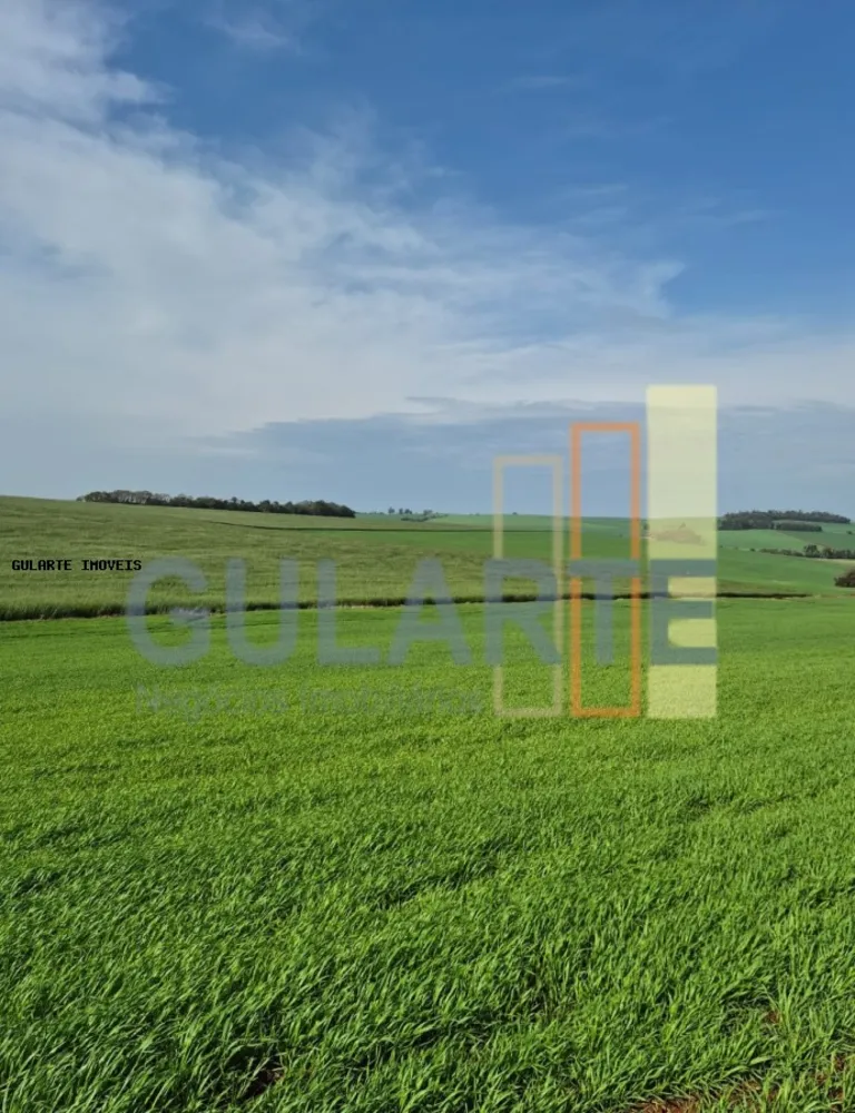 Terreno, 63 hectares - Foto 2
