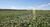 Fazenda, 1800 hectares - Foto 2