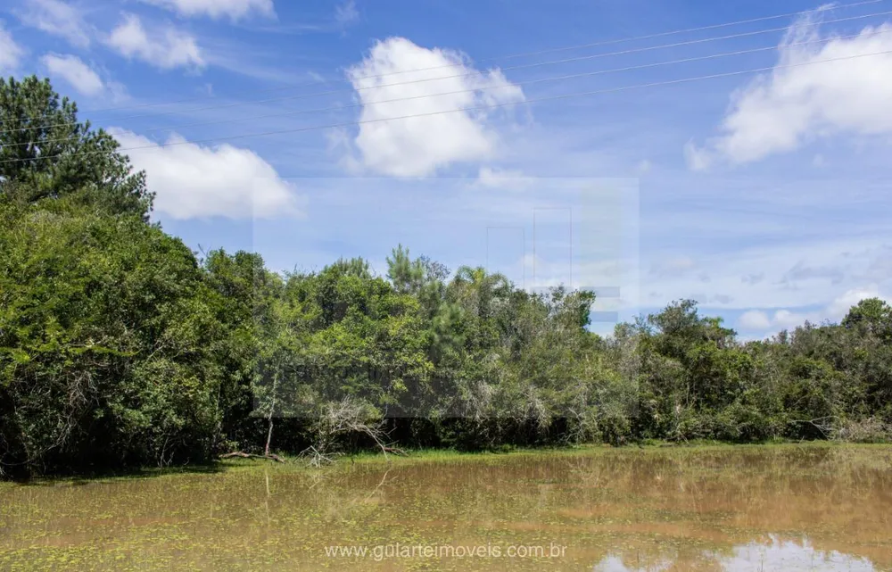 Fazenda, 30 hectares - Foto 8