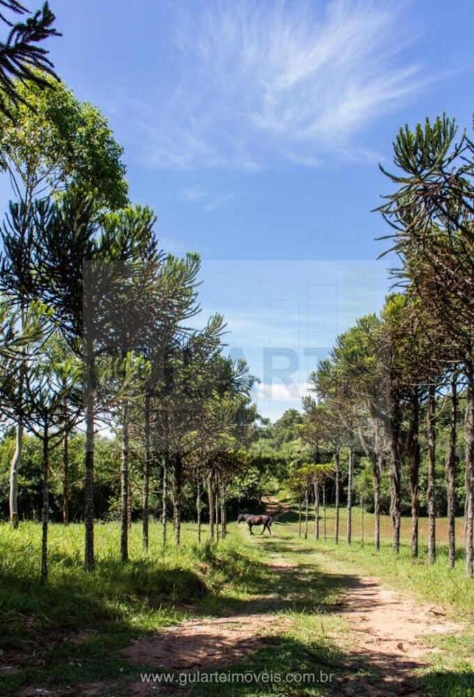 Fazenda à venda, 300000m² - Foto 3