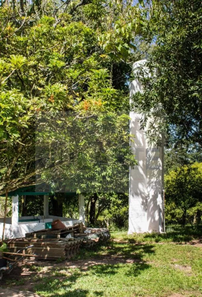 Fazenda, 30 hectares - Foto 8