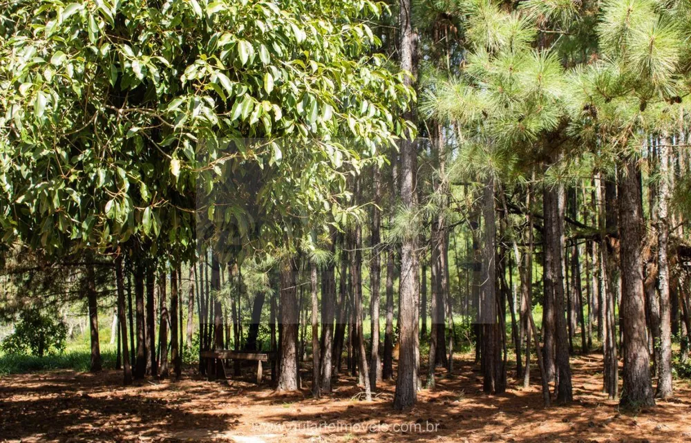 Fazenda, 30 hectares - Foto 1