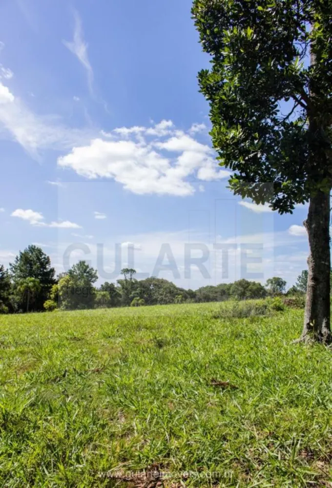 Fazenda, 30 hectares - Foto 7
