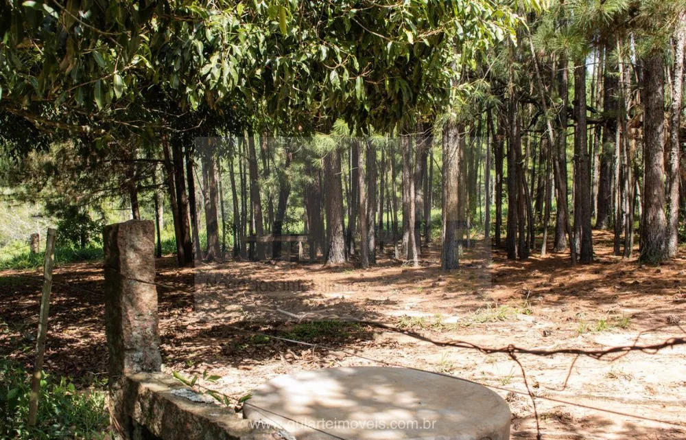 Fazenda, 30 hectares - Foto 13