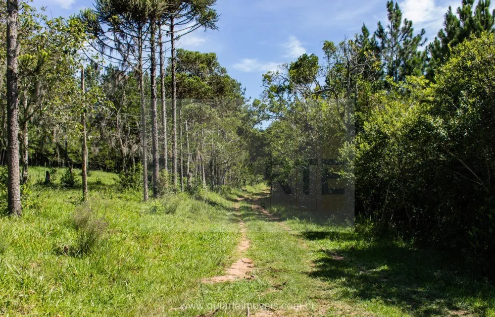 Fazenda, 30 hectares - Foto 2