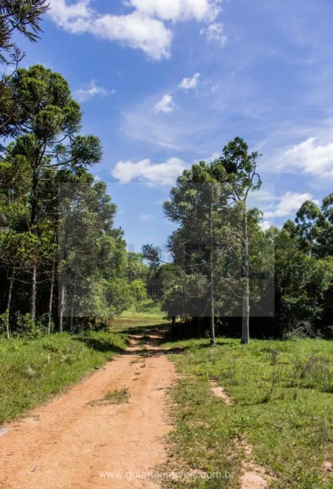 Fazenda, 30 hectares - Foto 3