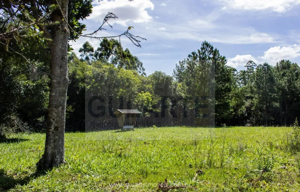 Fazenda, 30 hectares - Foto 3