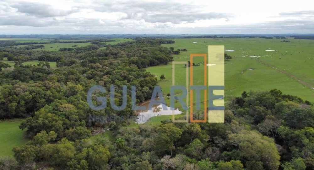 Fazenda, 2000 hectares - Foto 6