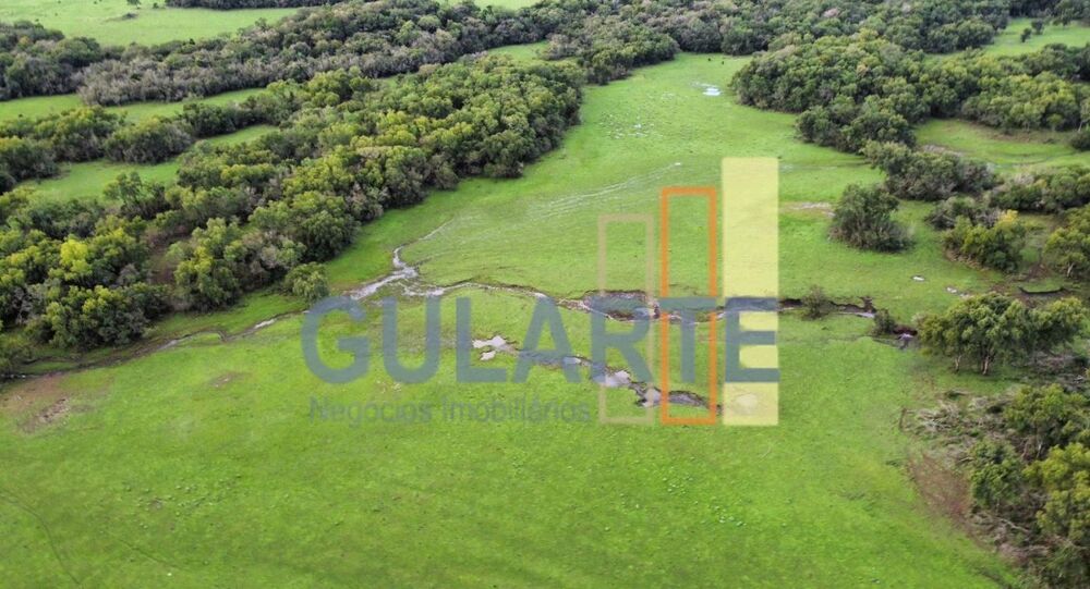 Fazenda, 2000 hectares - Foto 4