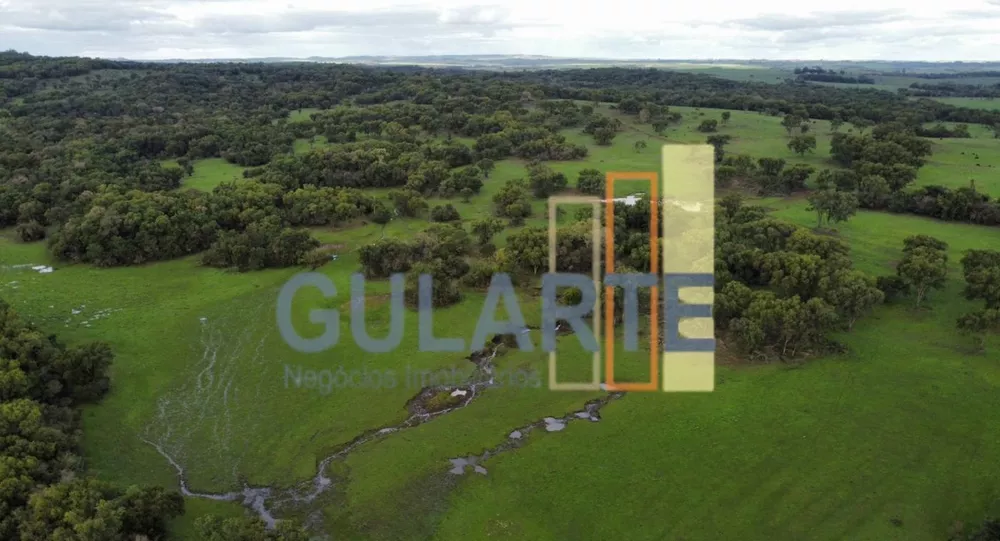 Fazenda, 2000 hectares - Foto 7