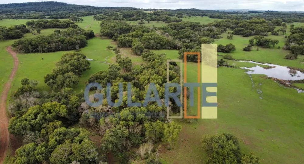 Fazenda, 2000 hectares - Foto 8