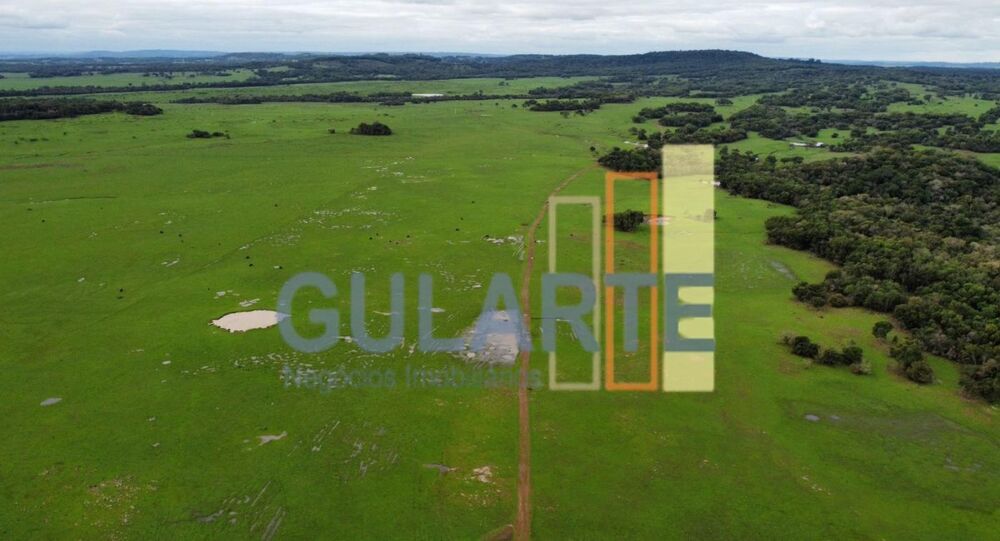 Fazenda, 2000 hectares - Foto 2