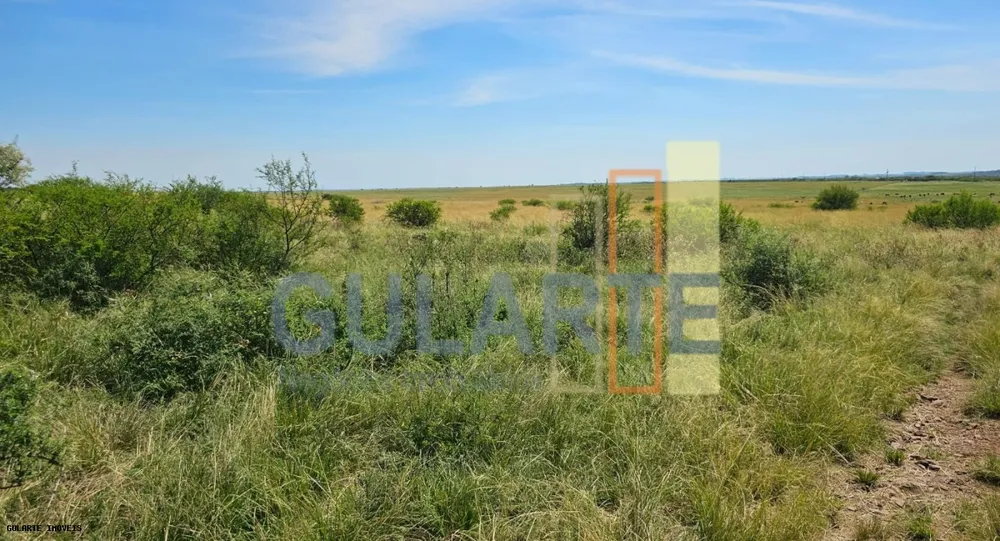 Fazenda, 460 hectares - Foto 7