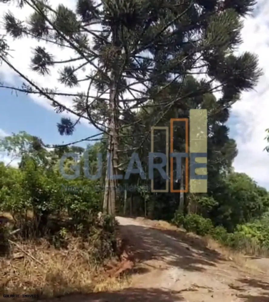 Terreno, 8 hectares - Foto 3