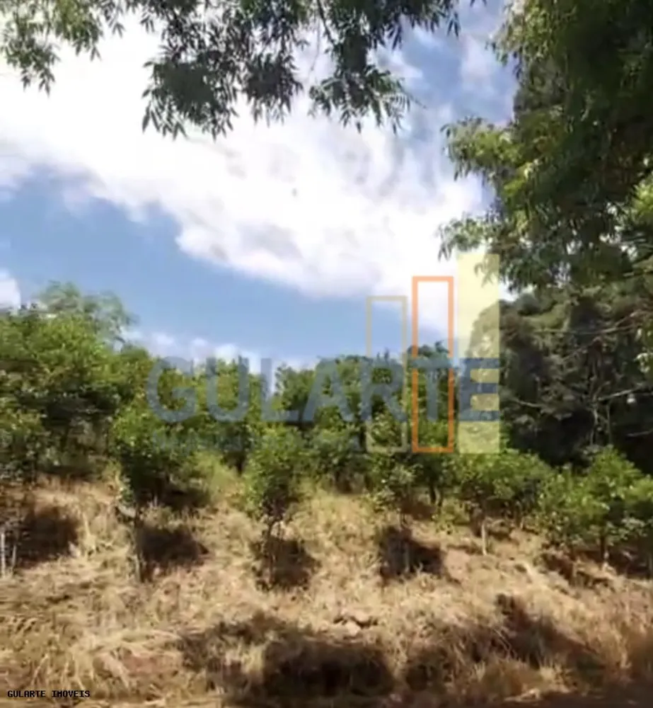 Terreno, 8 hectares - Foto 4