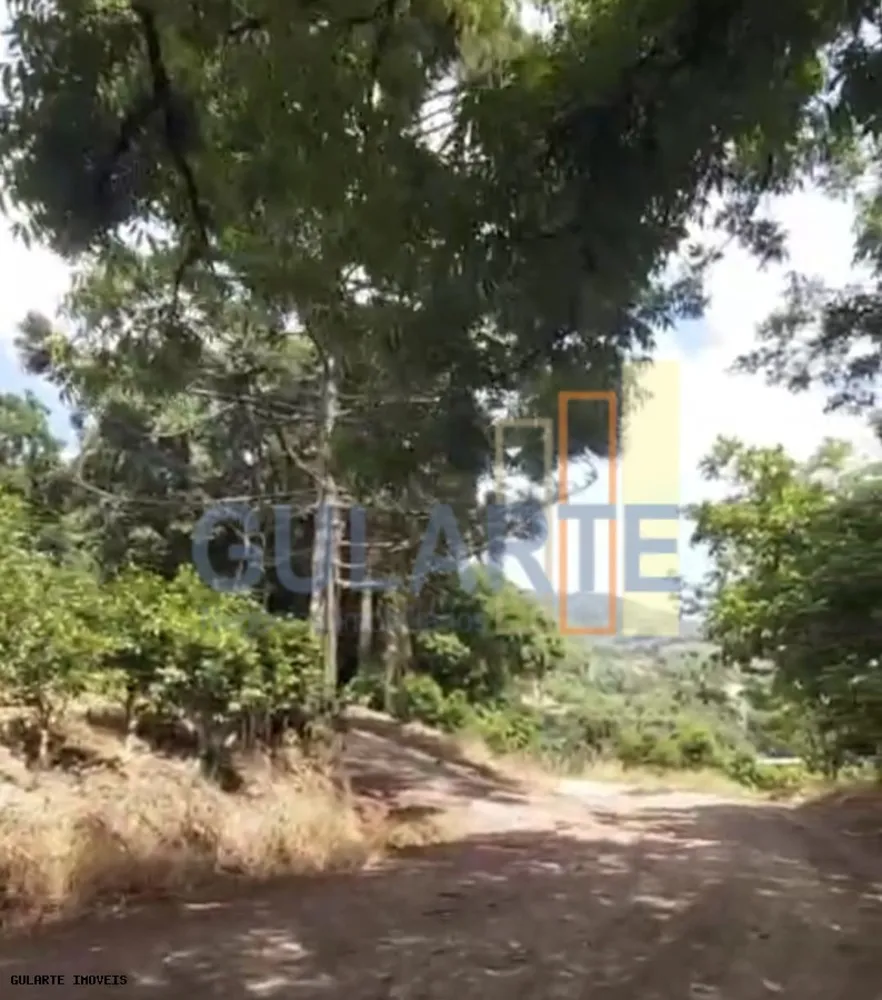 Terreno, 8 hectares - Foto 2