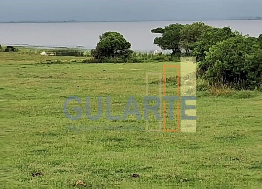 Fazenda, 1000 hectares - Foto 6