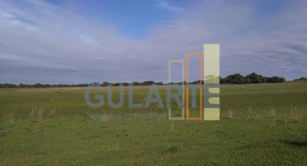 Fazenda, 1000 hectares - Foto 3