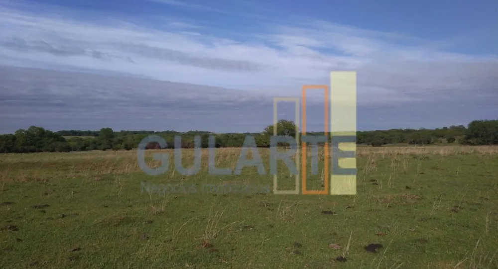 Fazenda, 1000 hectares - Foto 1