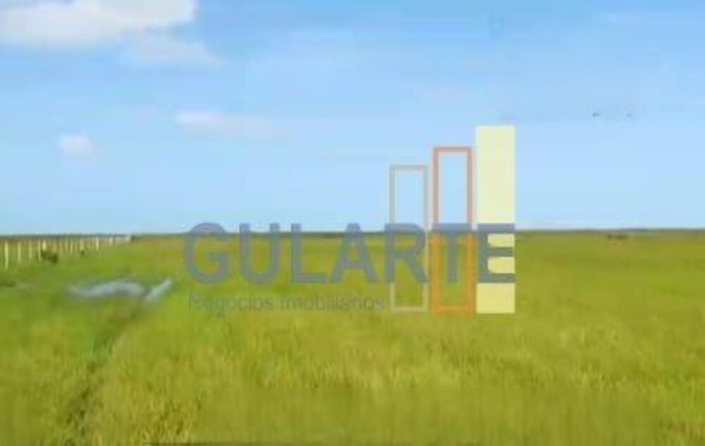 Fazenda, 611 hectares - Foto 6