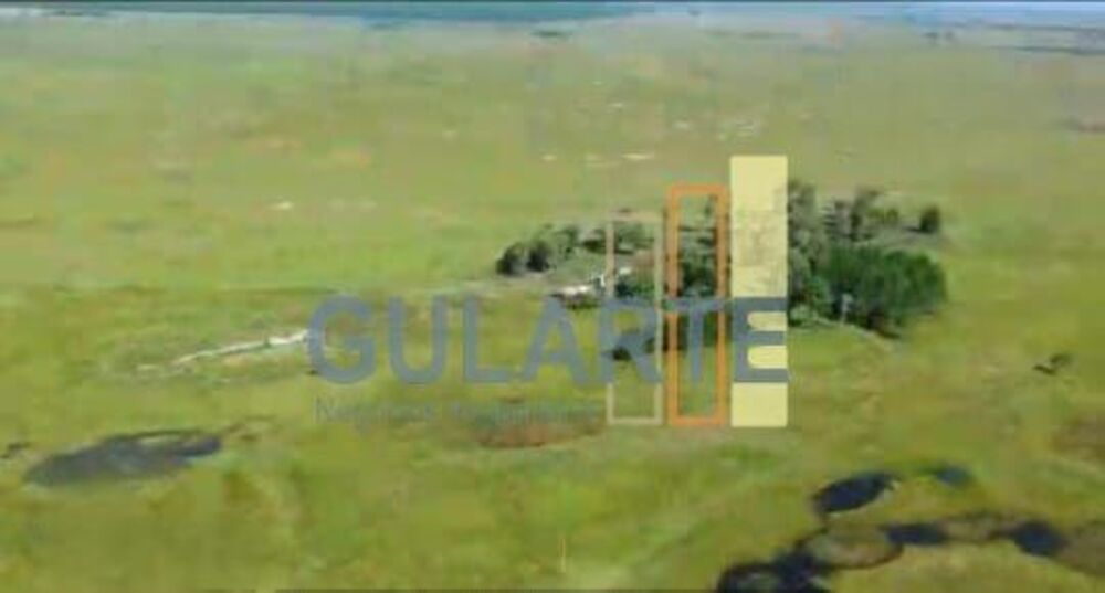 Fazenda, 611 hectares - Foto 4