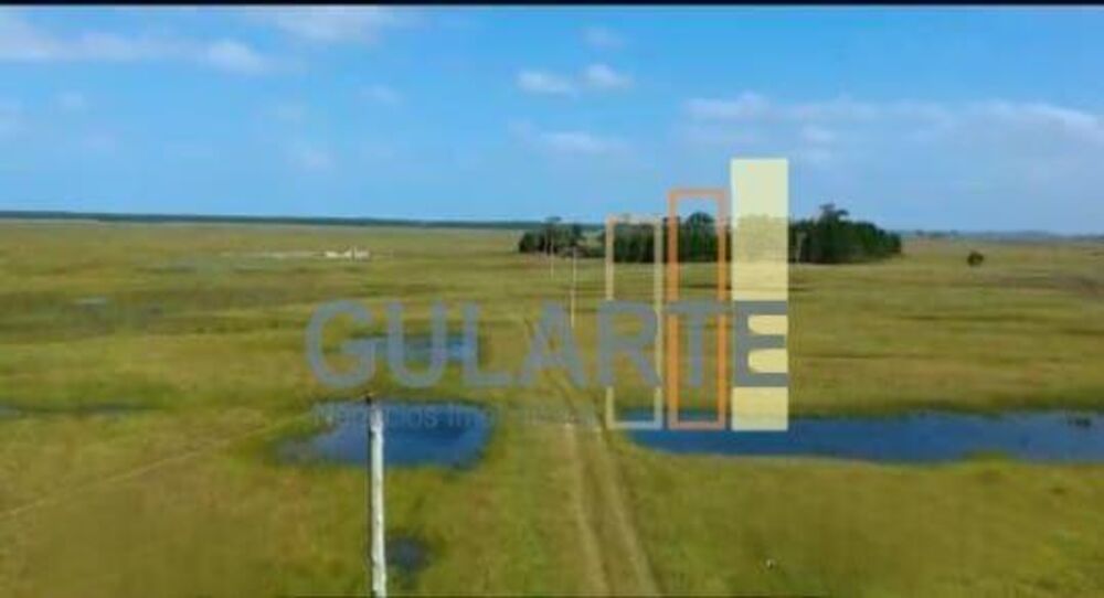 Fazenda, 611 hectares - Foto 1
