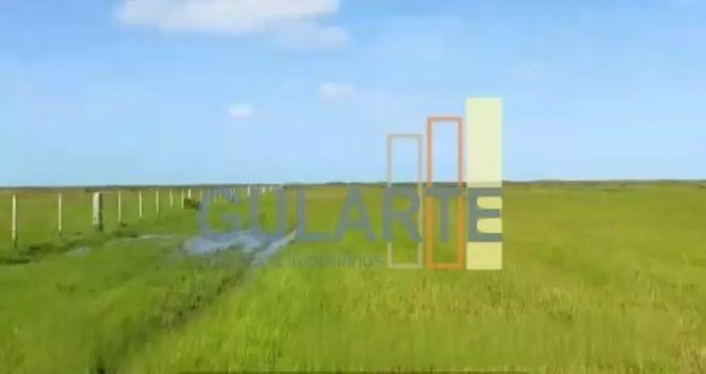 Fazenda, 611 hectares - Foto 7