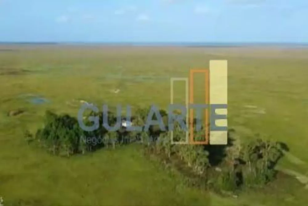 Fazenda, 611 hectares - Foto 3