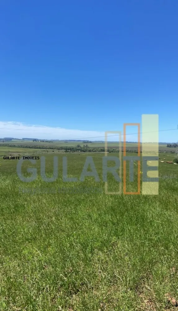 Fazenda, 930 hectares - Foto 6